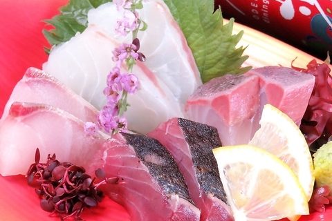 本日のお刺身盛り合わせ